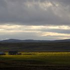 Farm on Cranoch Moor