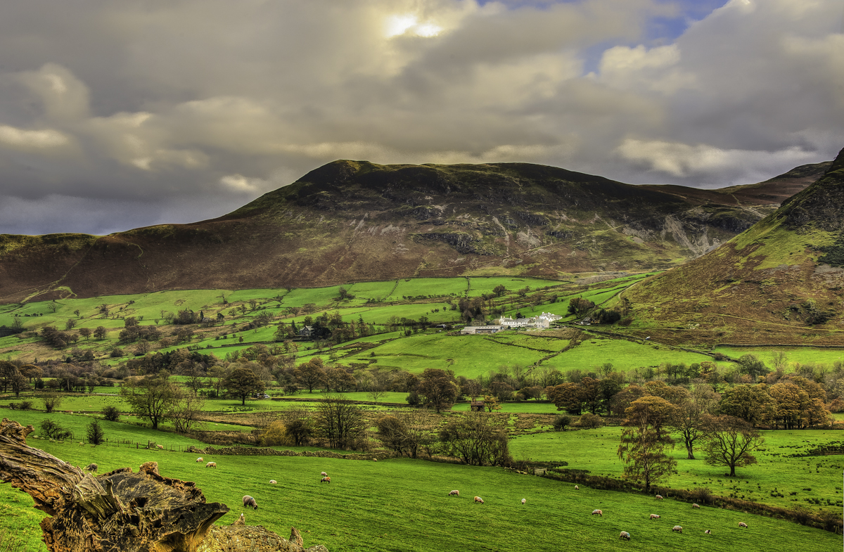 Farm on the Hill.