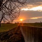 Farm Sunset