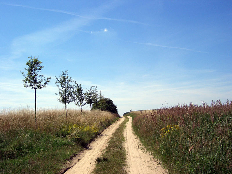 farm track