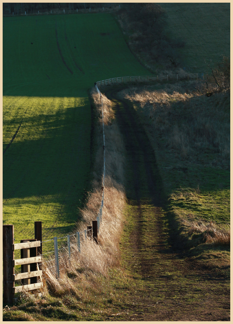 farm track near kilham