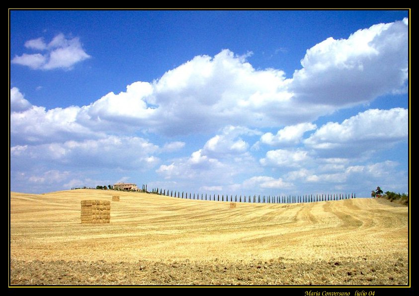 Farm with squared ballons