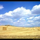 Farm with squared ballons