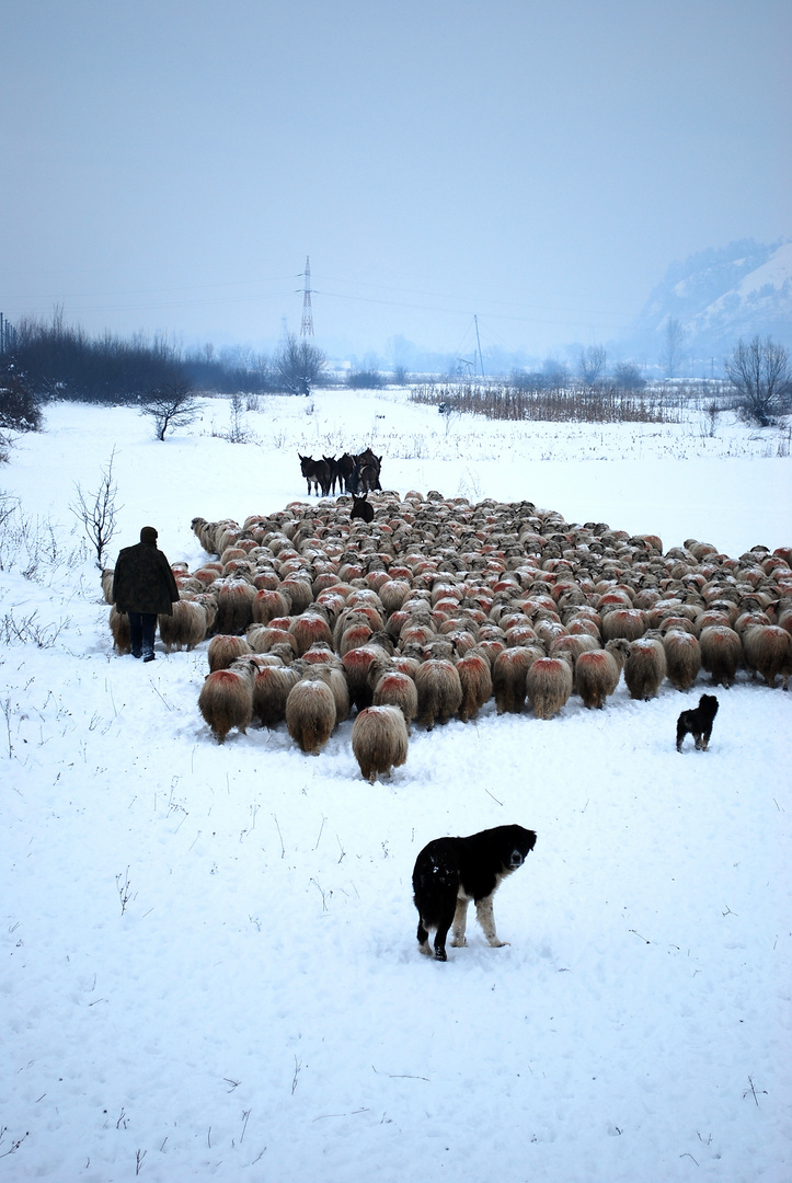 Farm Work