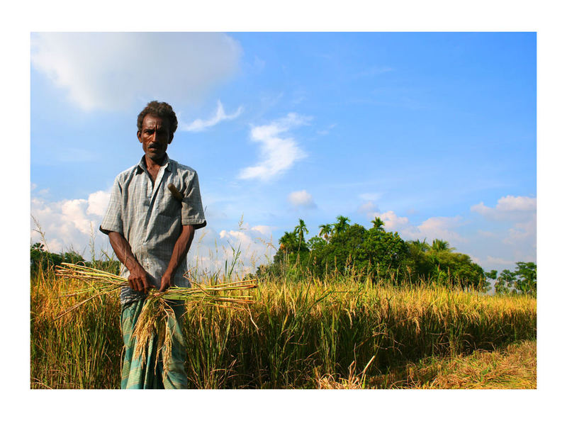 farmer