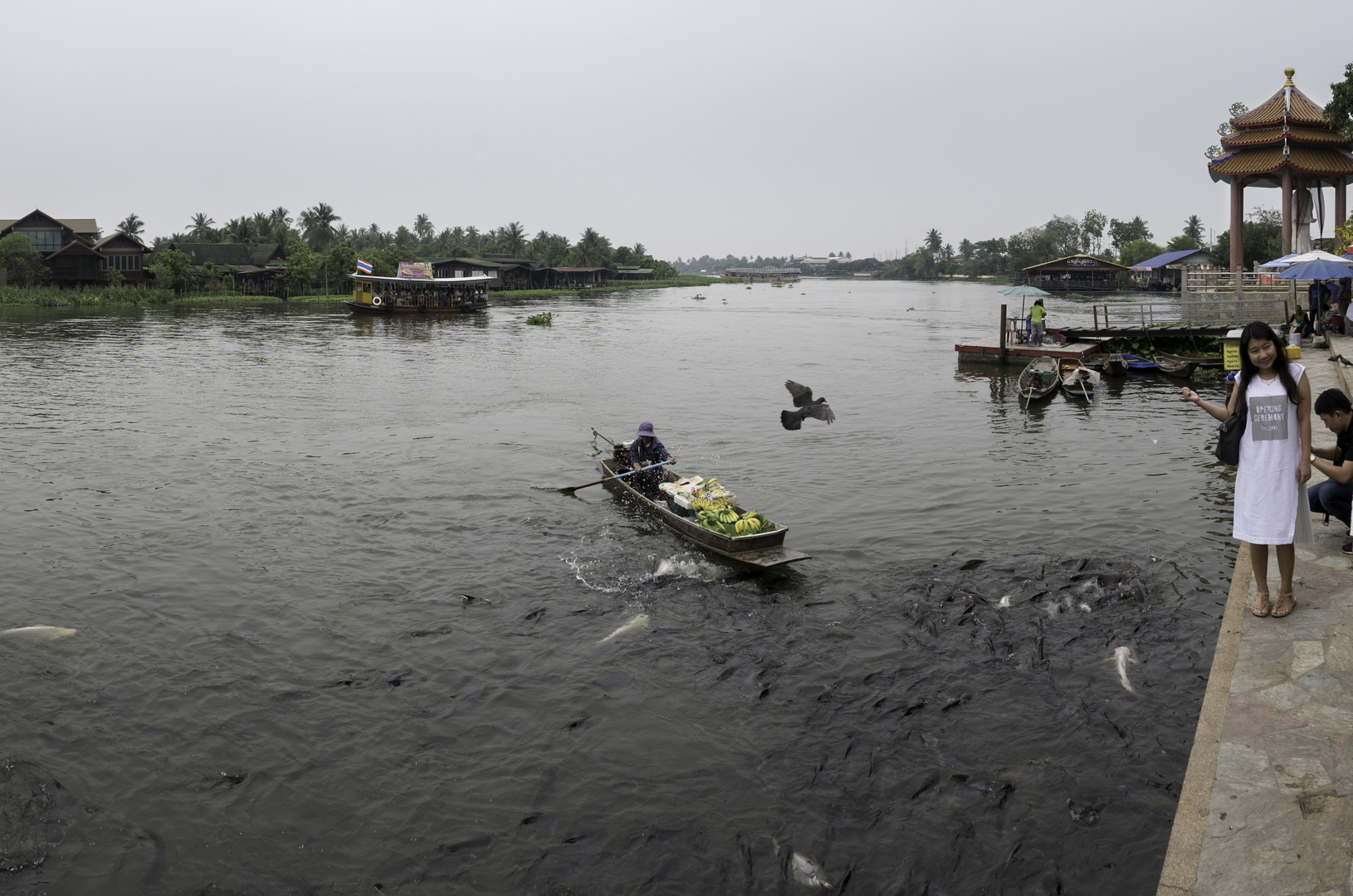 Farmer boat floating market