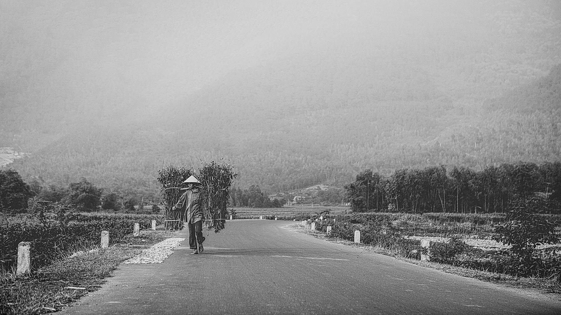 Farmer, Hanoi