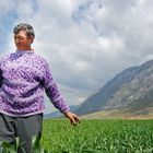 Farmer in field