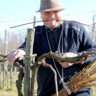 farmer in the vineyard