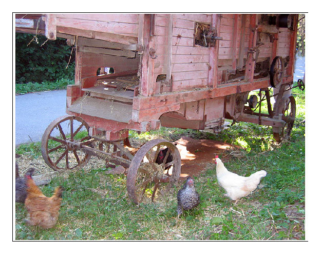 Farmer Romantik in der Slowakei