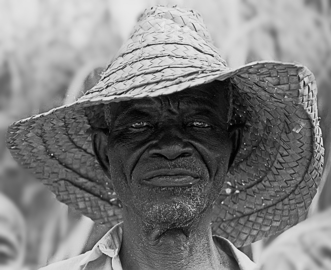 Farmer -- up country