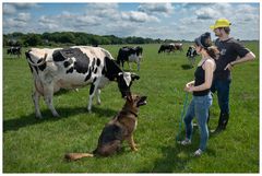 Farmers Cheese #1  - Bart and Floortje on their pasture #1