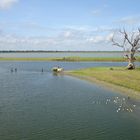 Farmers crossing lakes outside Mandalay