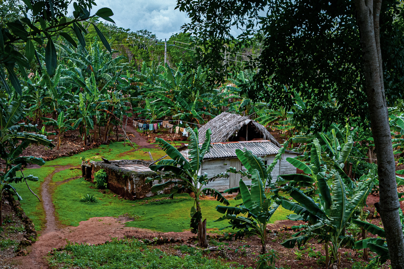 Farmers hut in Guantánamo province
