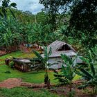 Farmers hut in Guantánamo province