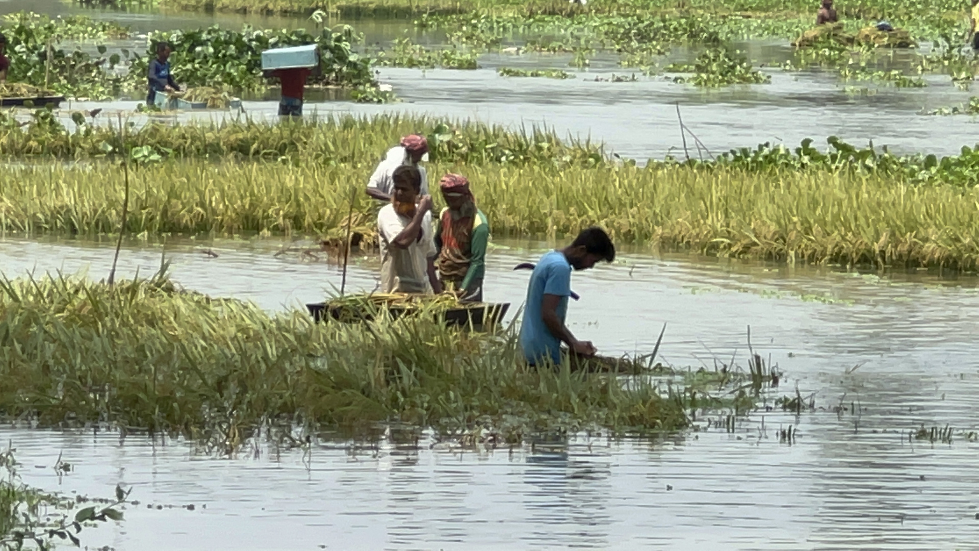 Farmers in village 