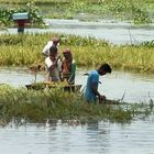 Farmers in village 