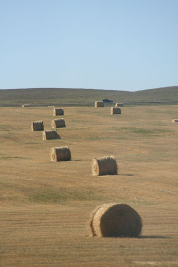 farmer's life