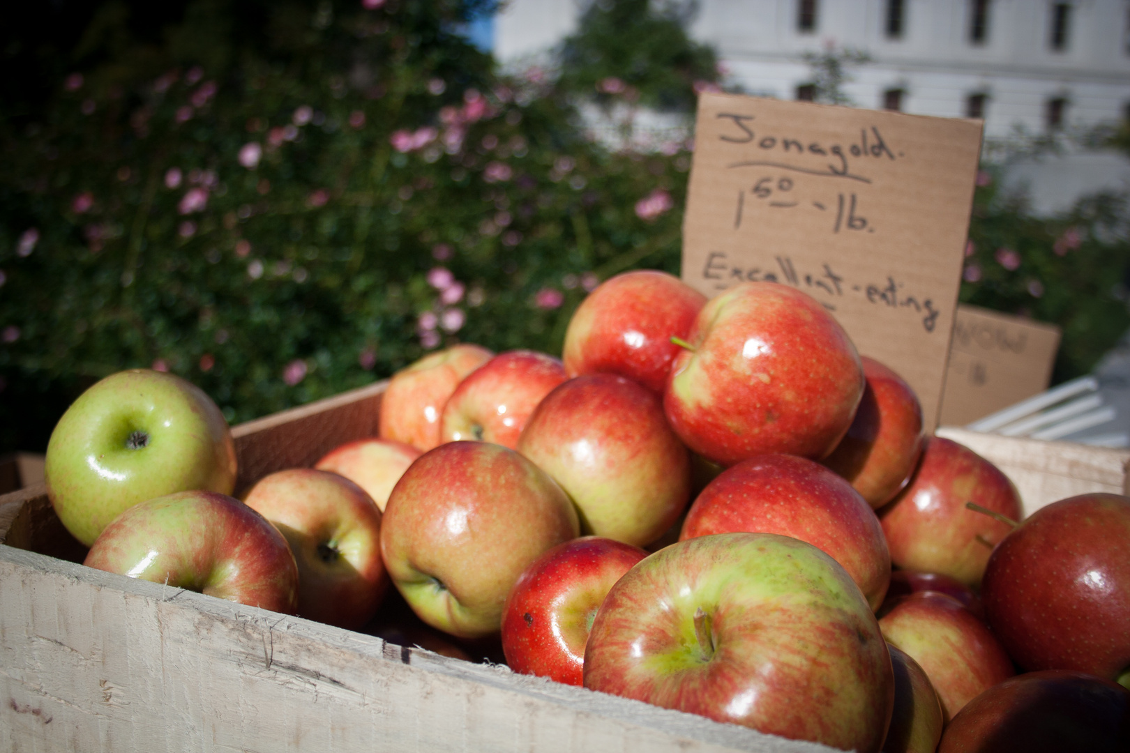 Farmer's Market Apples