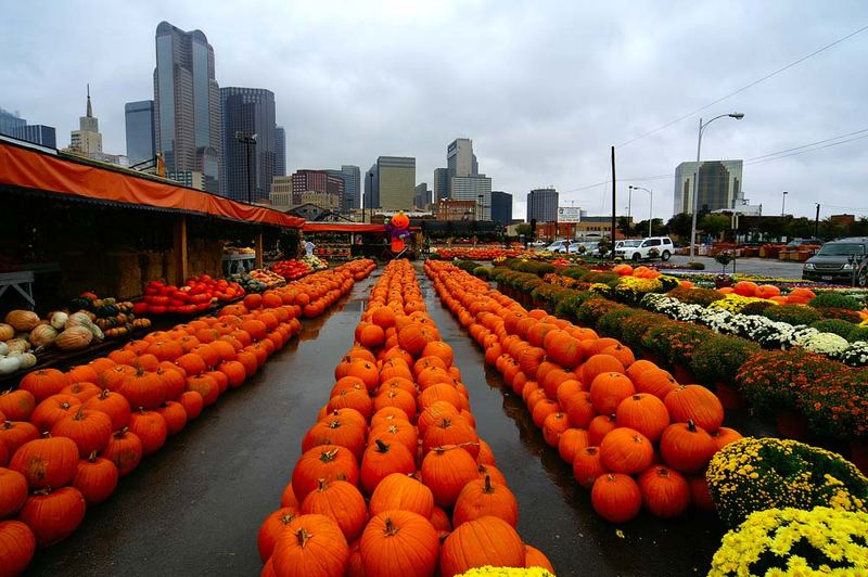 Farmers Market Dallas