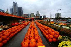 Farmers Market Dallas