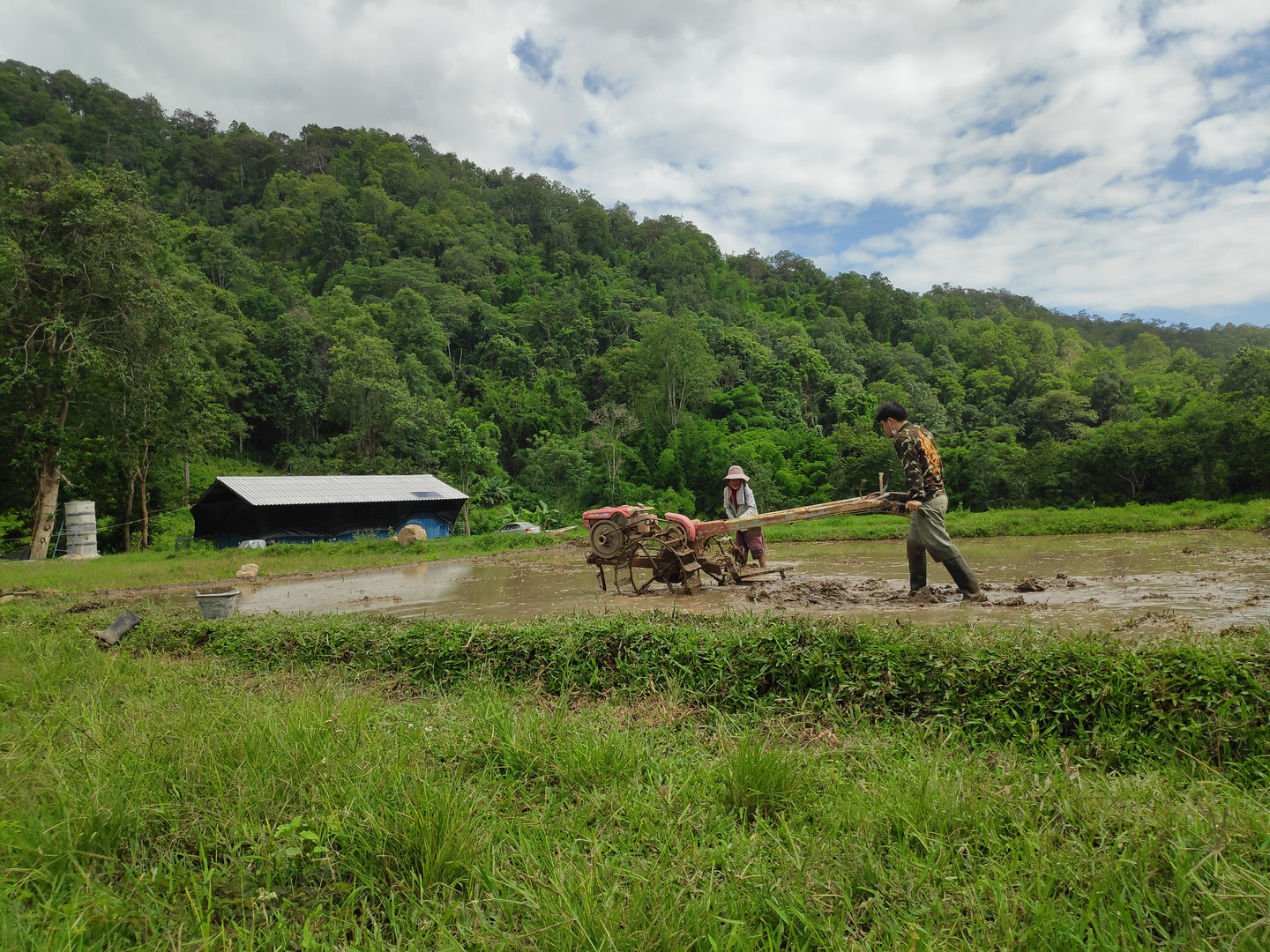 Farmers of Thailand