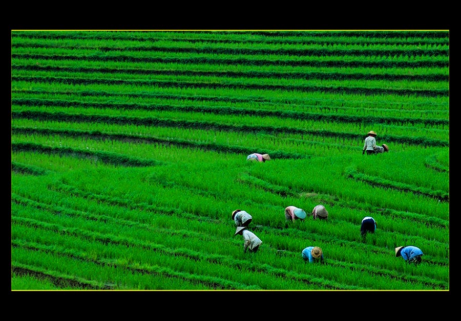 farmers ordinary day