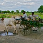 Farmers ride