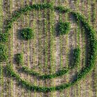 Farmers Smilie