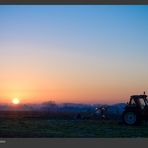Farmers Sunrise