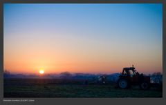 Farmers Sunrise