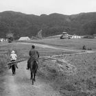 Farmers, Valle de Viñales, Cuba