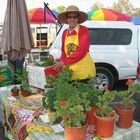 Farmersmarket in Albuquerque