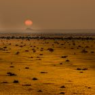 Farmgebiet im Dunst der untergehenden Sonne