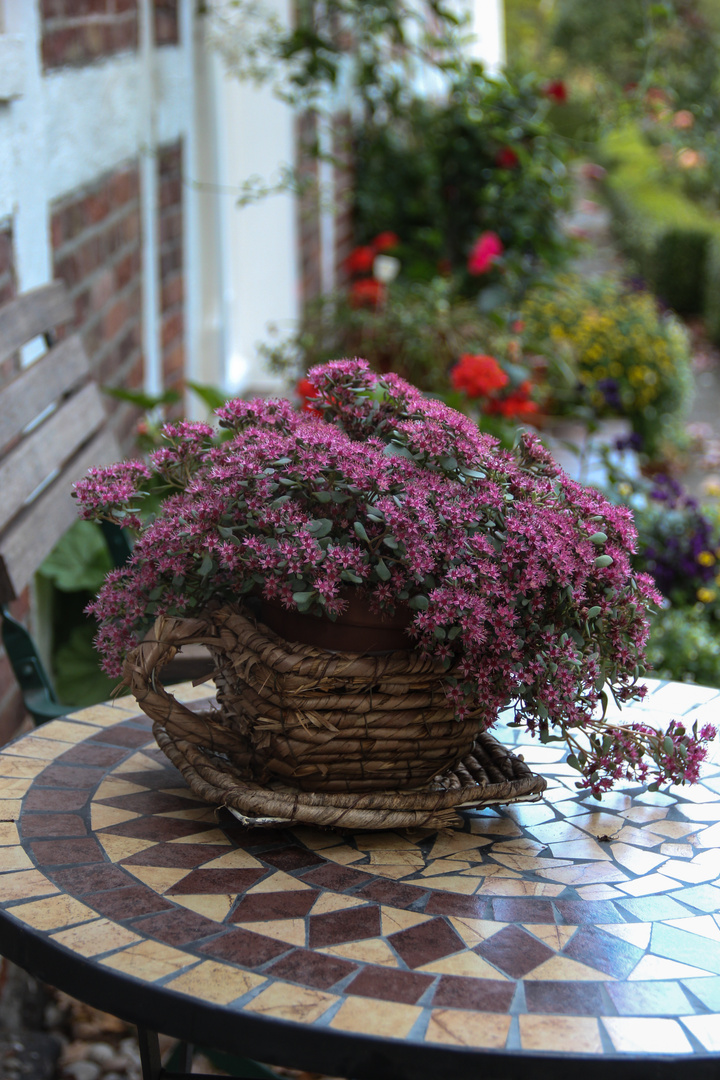 Farmhouse garden