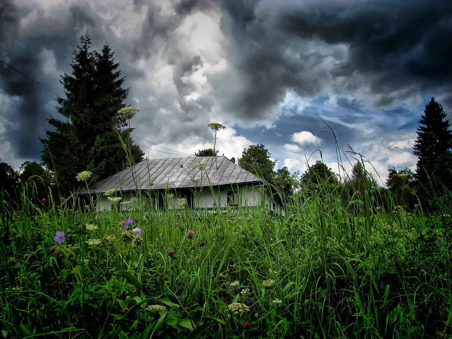 Farmhouse (Moldova - Romania)