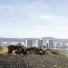 Farming feeds the city