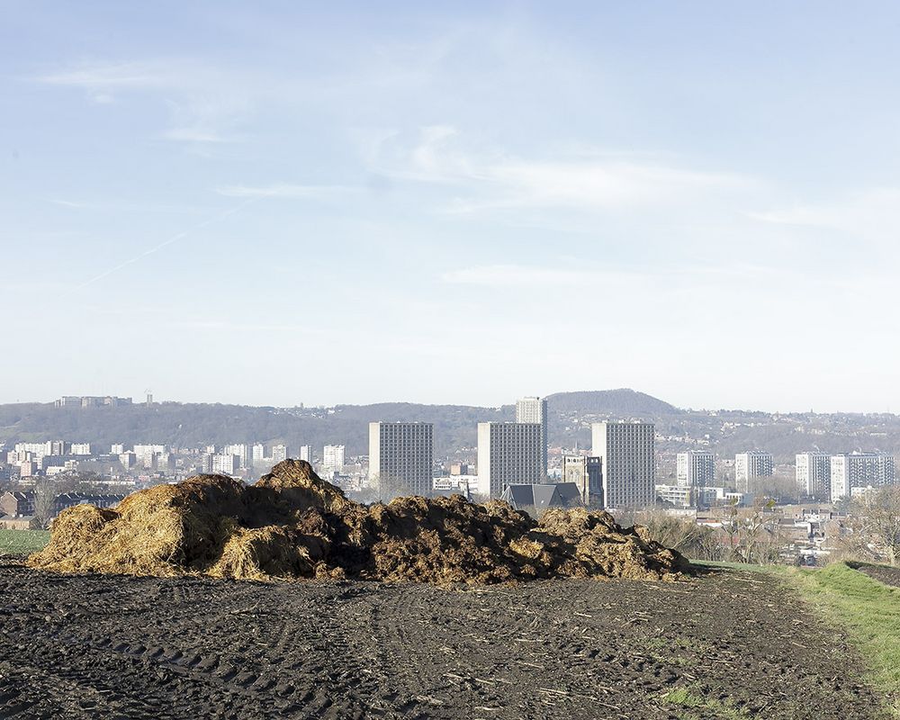 Farming feeds the city