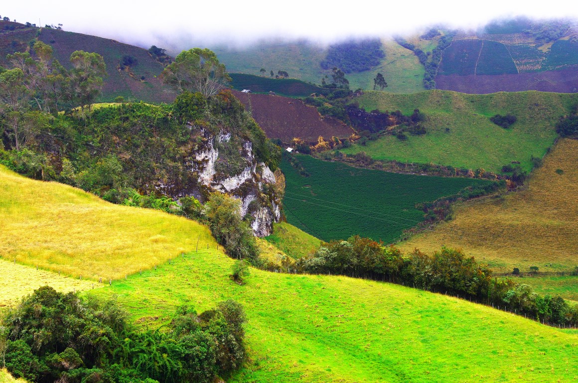 Farming in the colombian Andes