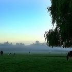 farming nz