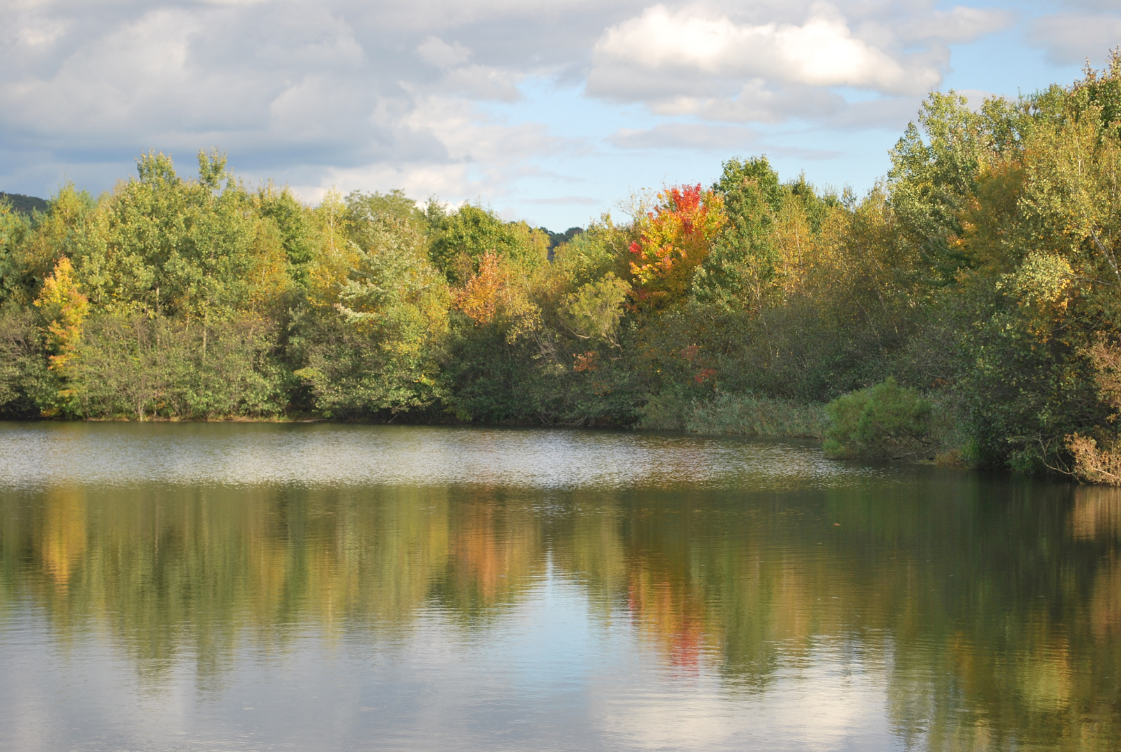 Farmington Lake