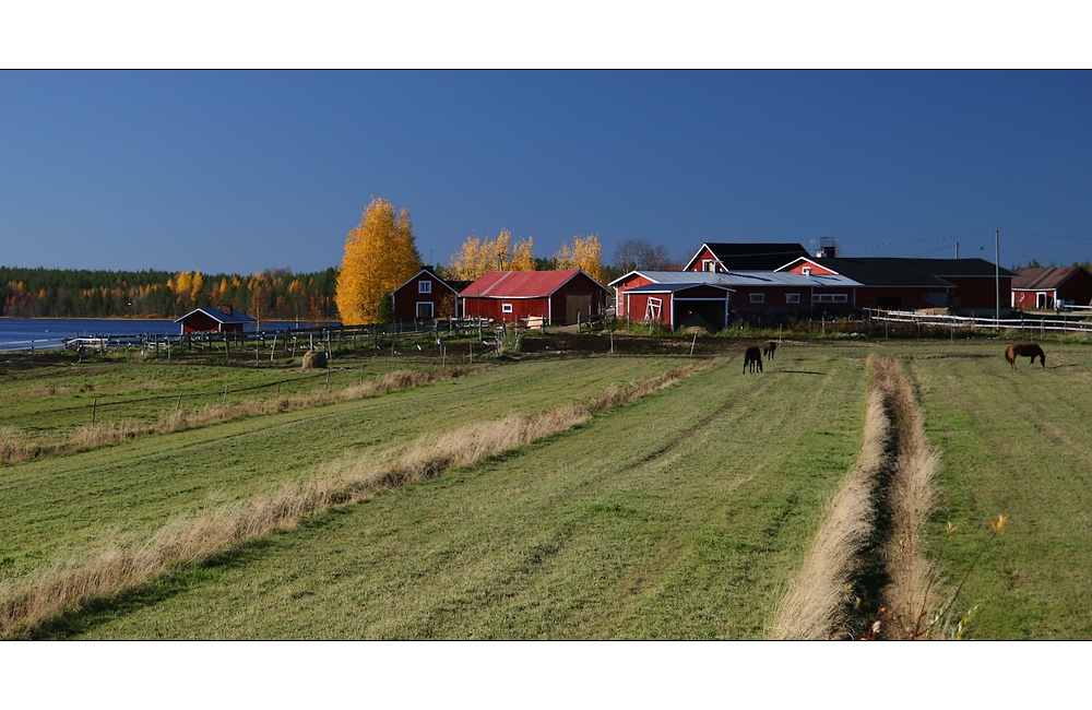 Farm_in_Lapland