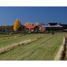 Farm_in_Lapland