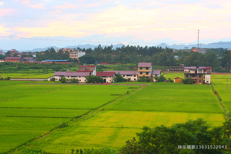 farmland