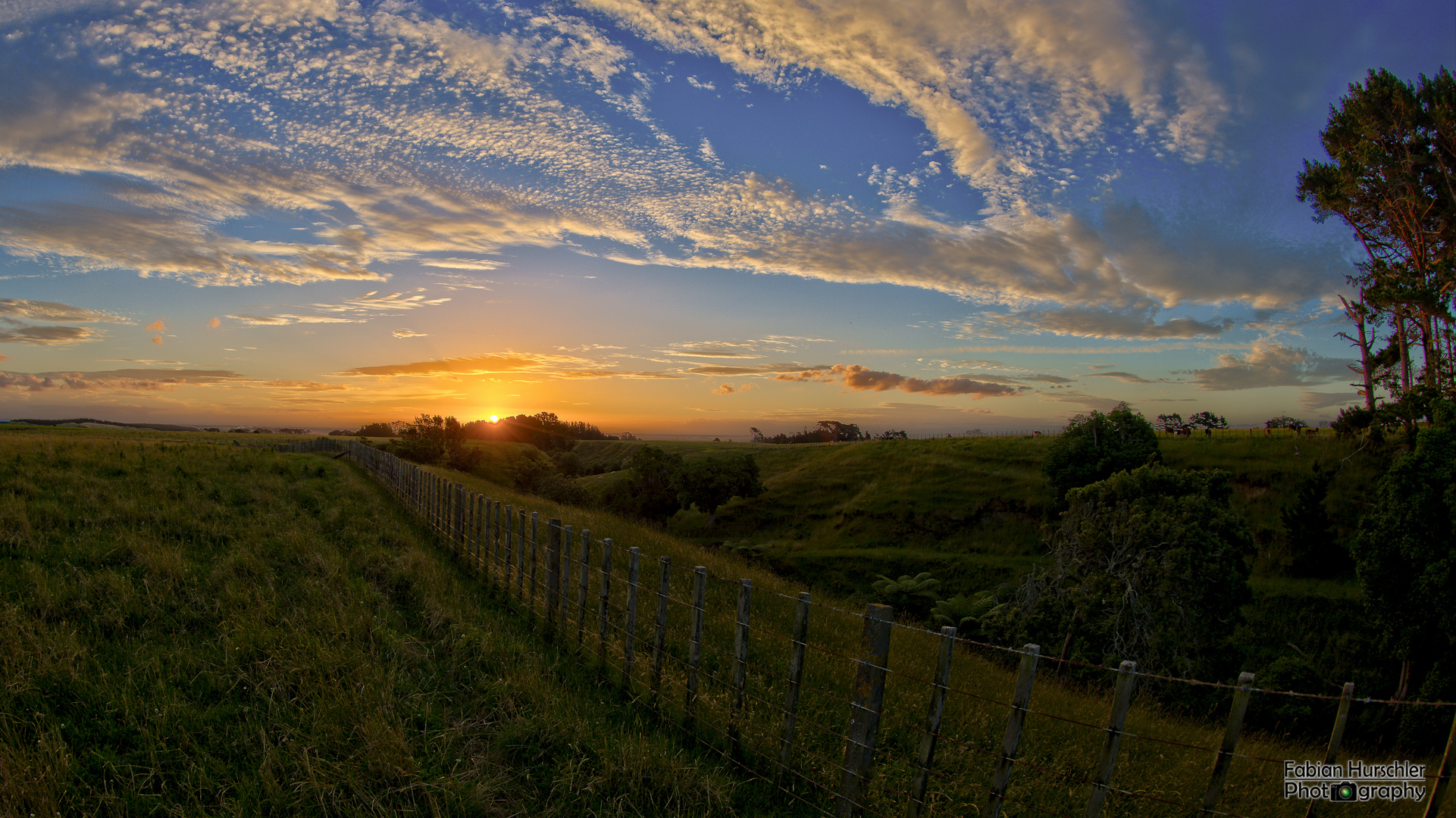 Farmland