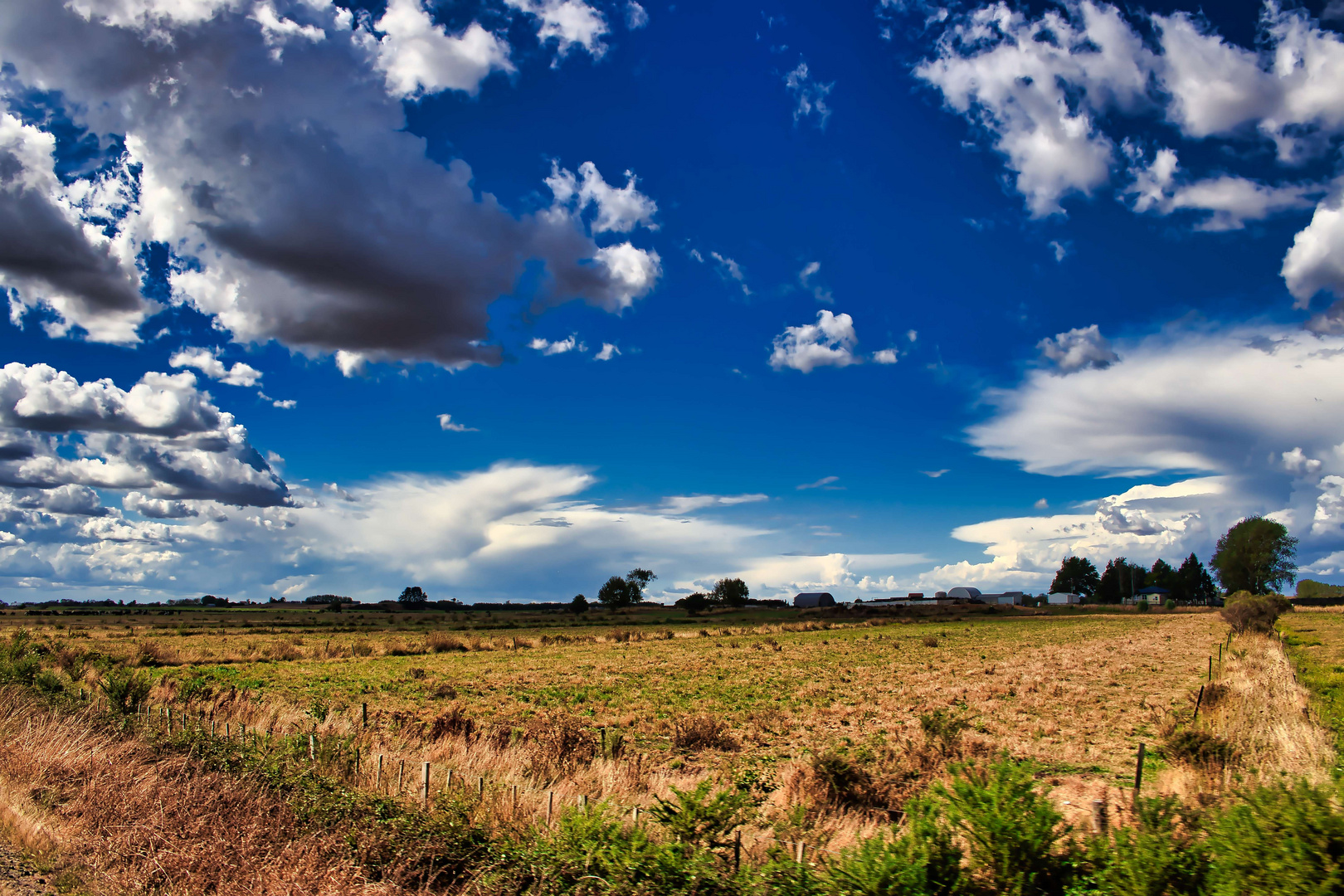 Farmland 4