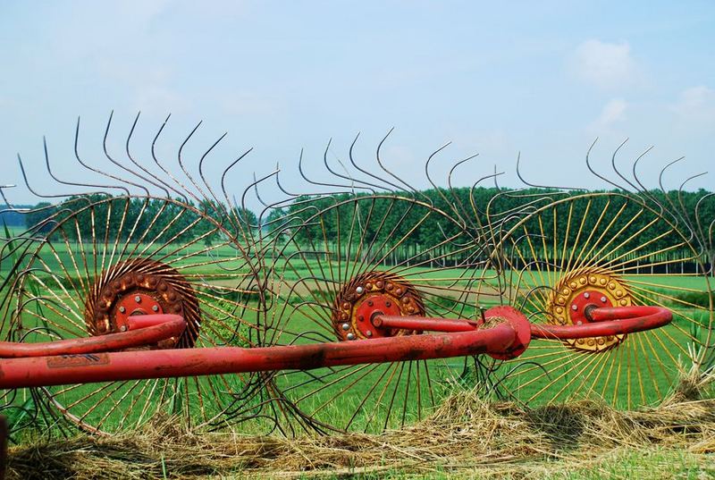 Farmland