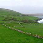 Farmland auf Beara