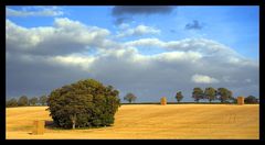 Farmland