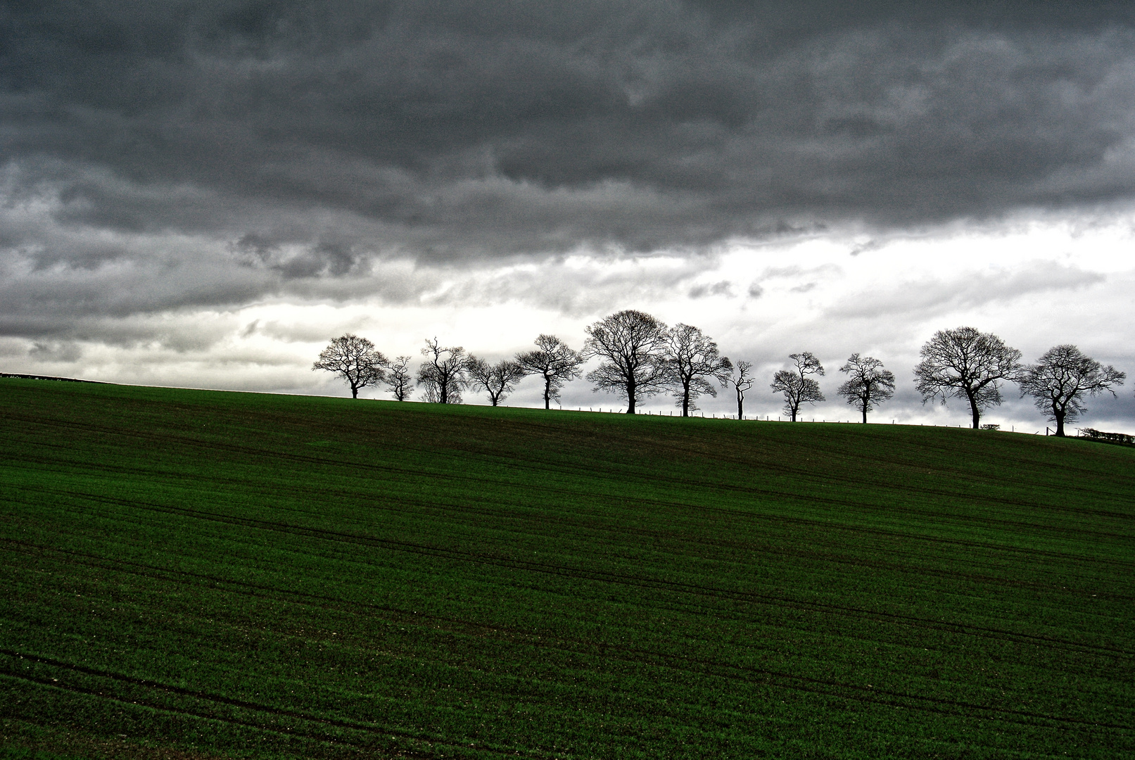 farmland